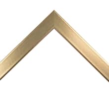 Flat Brushed Gold Custom Frame